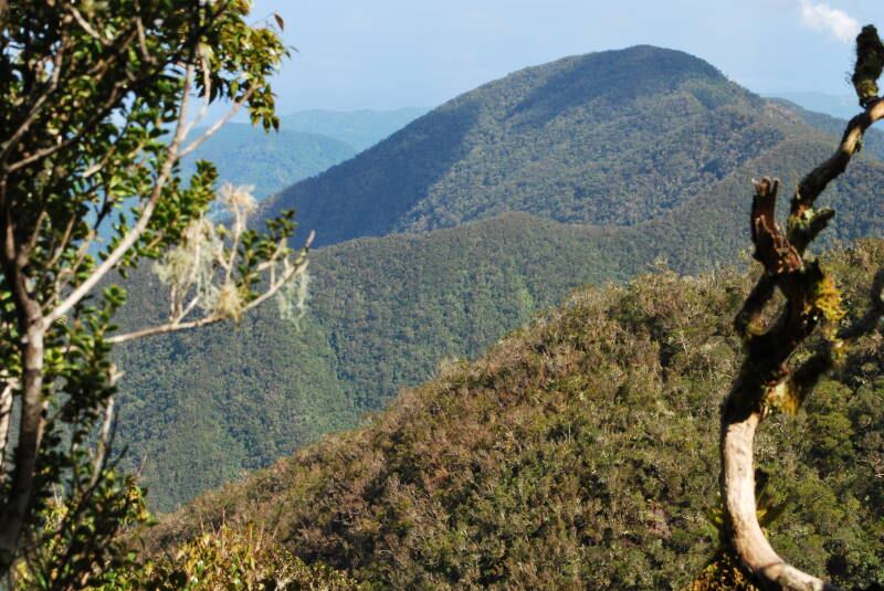 Blue Mountains coffee trails and scenic peaks in St. Andrew, Jamaica